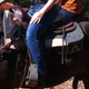 Image for article titled Horse: The Jalopnik Review
